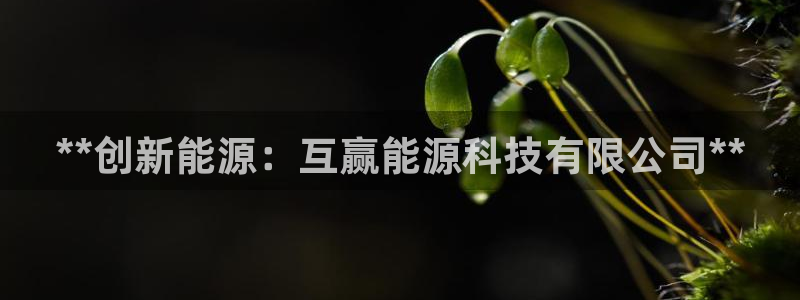 sunbet官网手机版登录