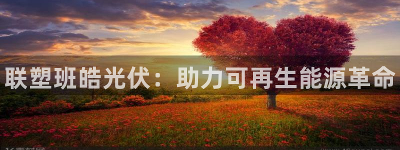 sunbet官网手机版登录