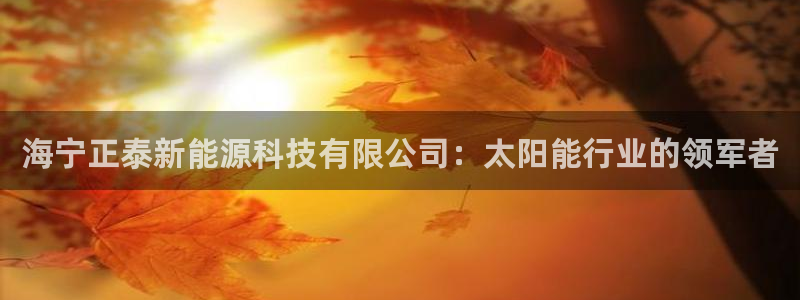 sunbet首页登录入口