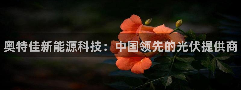 sunbet手机版官网下载