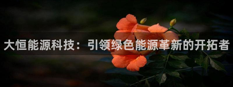 sunbet手机版登录