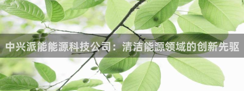 申博官网手机版下载app