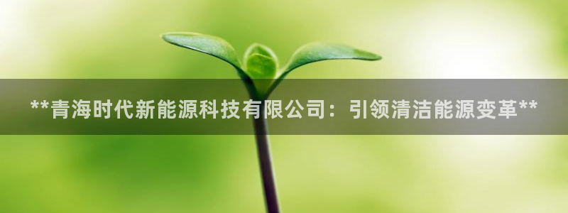 申博官网手机客户端