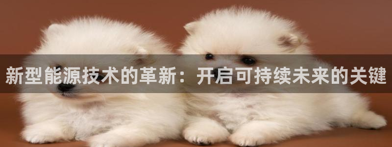 sunbet官网登录首页