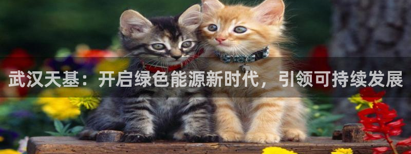 sunbet官网开户登录手机版