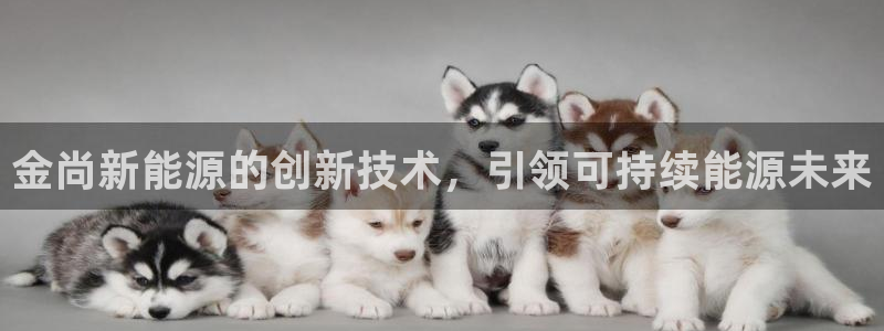 申博官方网站手机版下载