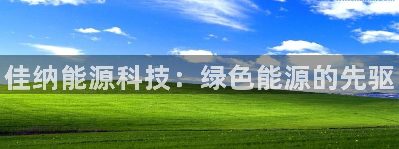 sunbet最新登陆