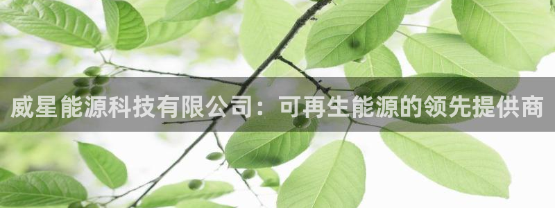 sunbet游戏网