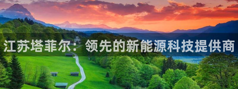 sunbet手机版官网下载