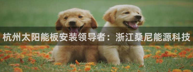 sunbet官网app首页