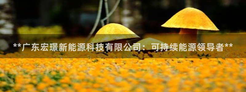 申博手机版app下载