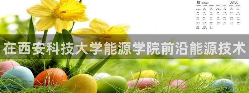 sunbet手机版登录