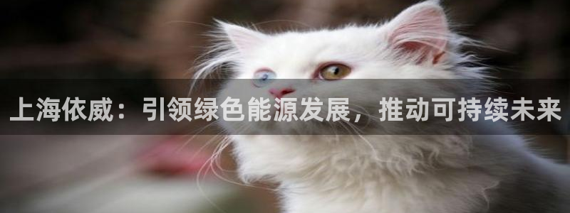 sunbet线上真人手机版