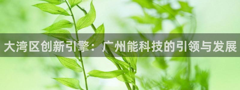 sunbet游戏最新版