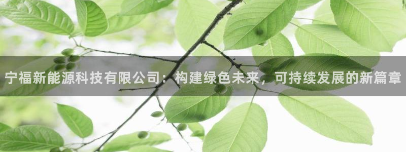 下载申搏sunbet并安装app