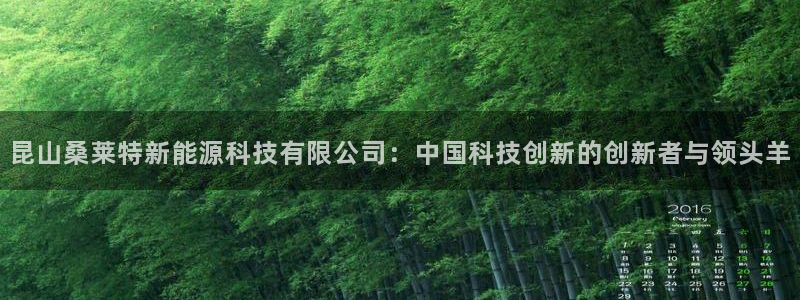 sunbet英语翻译