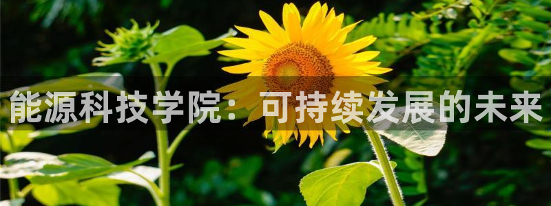 下载申搏sunbet并安装app