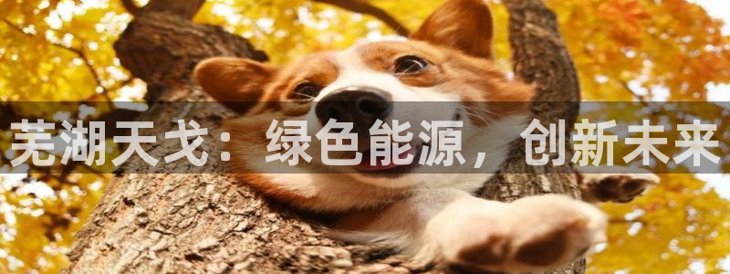 申慱sunbet手机版登