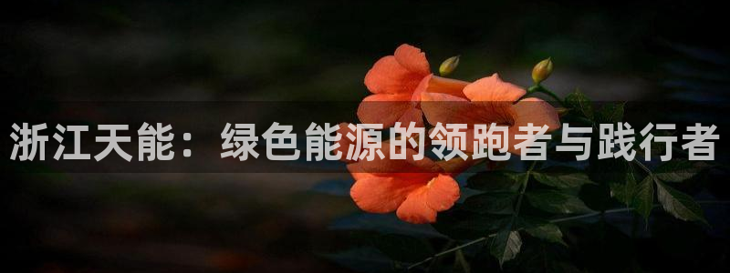 sunbet线上真人手机版